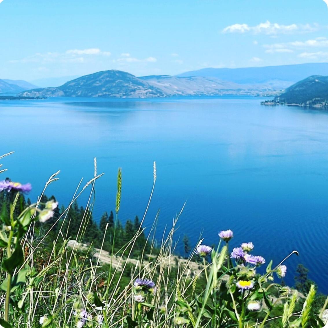 Jasmine Cottage Kelowna Kültér fotó